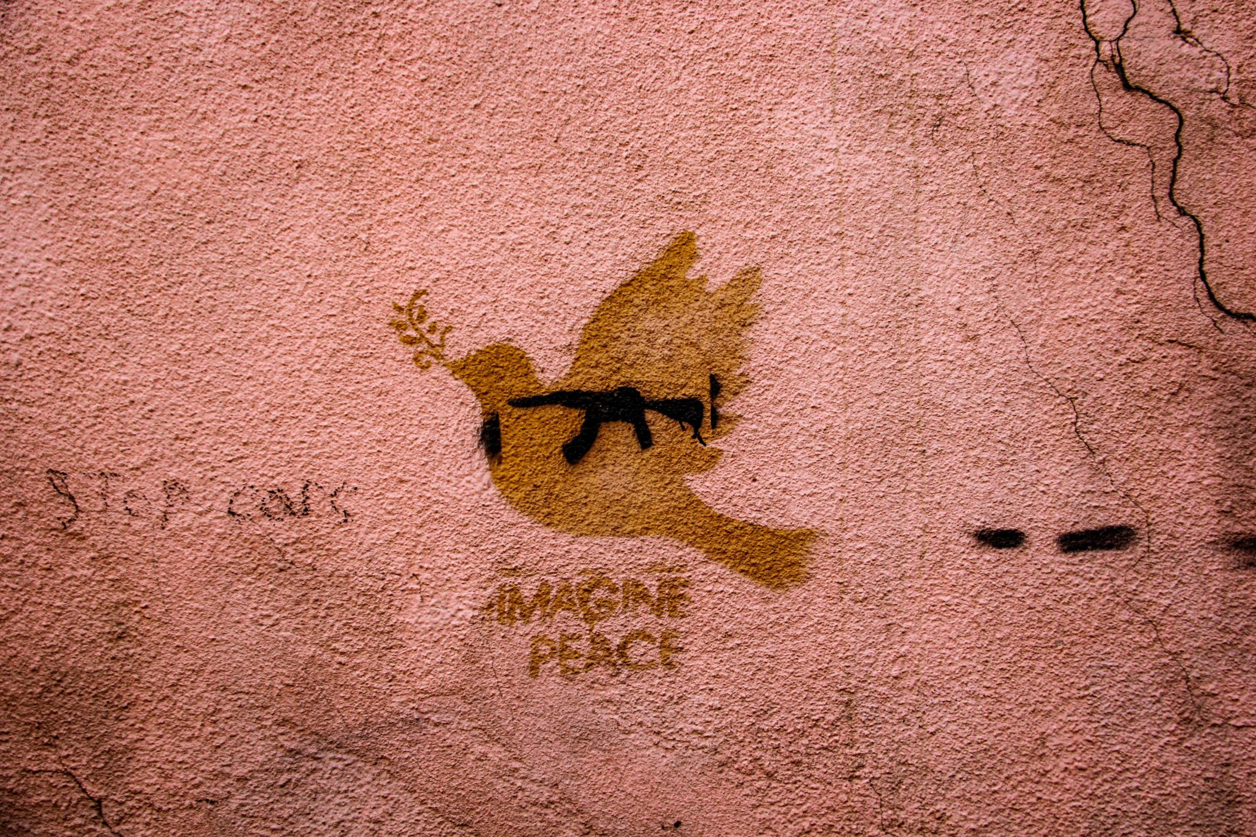 colomba war and art unsplah
