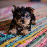 hannah-grace-fk4tiMlDFF0-unsplash