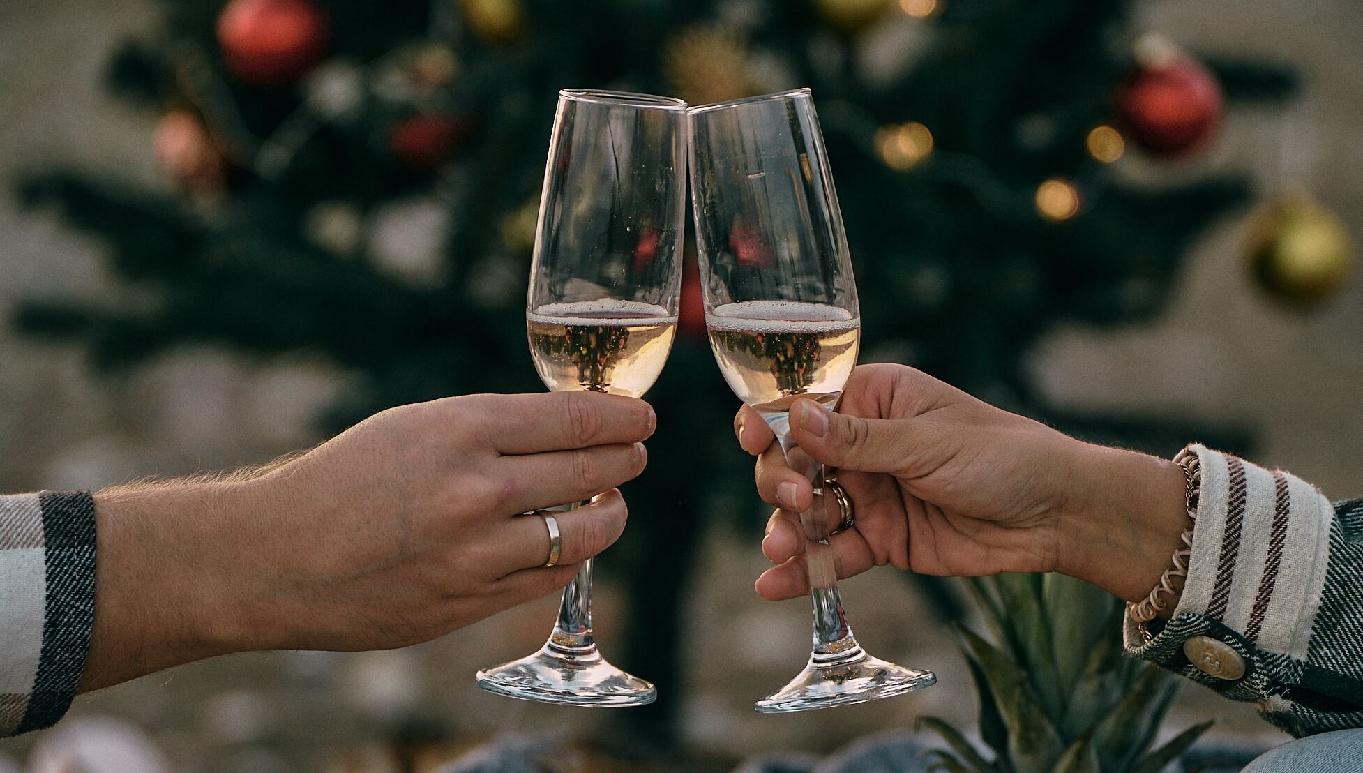 anastasia-nelen-1JCzVKHMGck-unsplash (1)