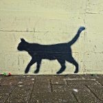 cat-3049098_1280